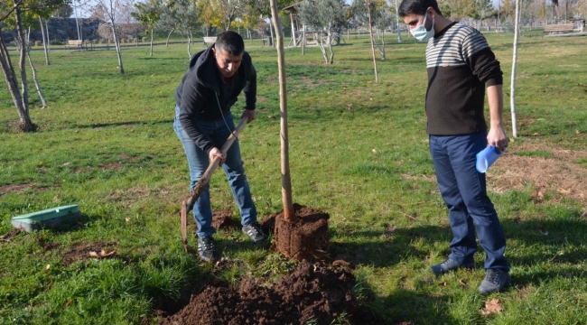 Siverek Belediyesinin talebiyle 10 ağaç dikti!