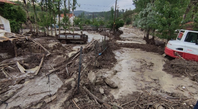 Antalya'da sel felaketi: 48 hayvan öldü!