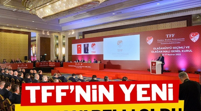 TFF'nin yeni başkanı Mehmet Büyükekşi!