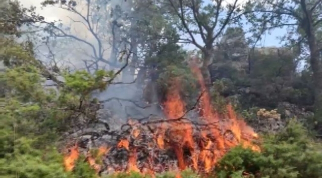 Adıyaman'da orman yangını çıktı, havadan müdahale ediliyor!