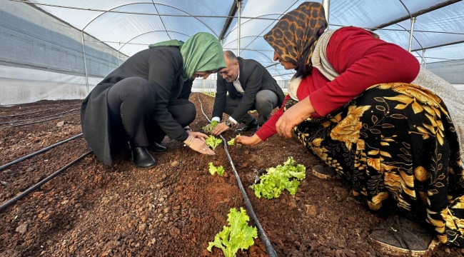 Başkan Çakmak, serada ilk sebze ürünlerinin ekimini yaptı!