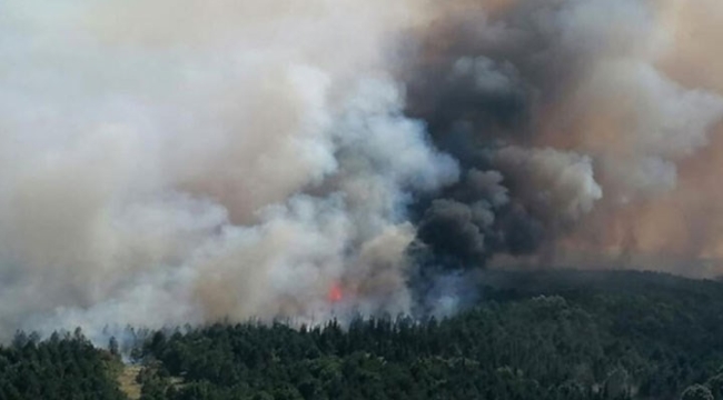 Edirne'de orman yangını!