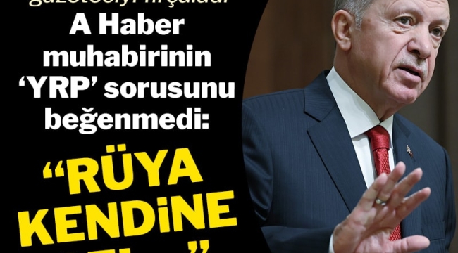 Erdoğan'dan A Haber muhabirine fırça: Rüya kendine gel!