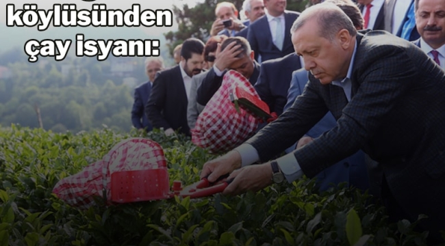 ÇAY İSYANI!